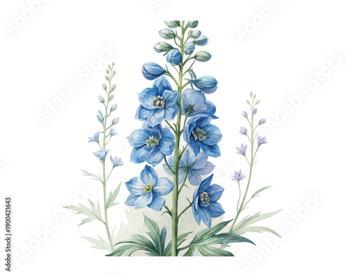 Watercolor Delphinium Bloom, Vertical Blue Floral Vector Illustration Isolated on White