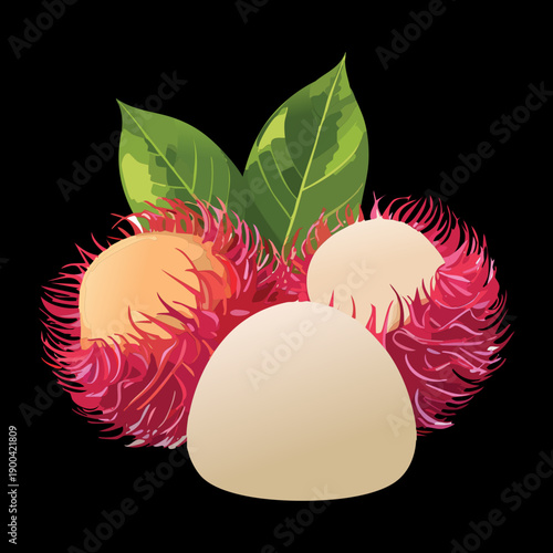 Fresh whole rambutan fruit with juicy white pulp for healthy tropical snack and organic food design - Vector Illustration