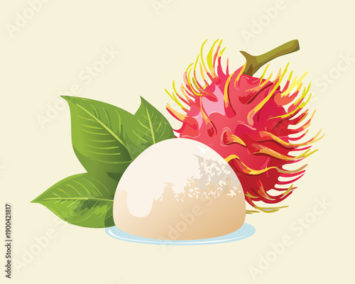 Freshly picked rambutan fruit with green leaves for healthy tropical garden harvest and organic food - Vector Illustration