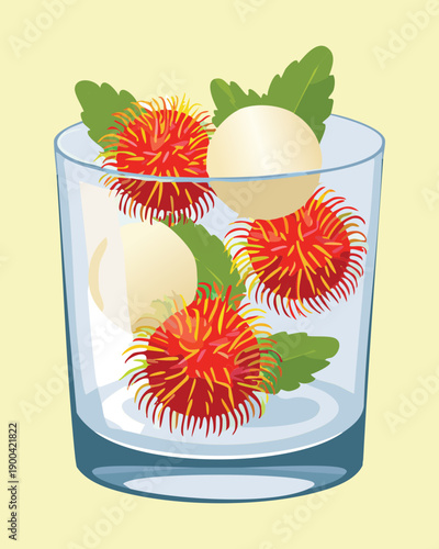 Tall glass of iced water with whole rambutan fruit and green leaves for cooling summer drink - Vector Illustration