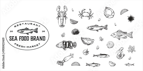 Vintage seafood collection with hand-drawn fish, lobster, crab, and squid illustrations. Vector engraving style for seafood restaurant logo design, packaging, menu, and market signage.