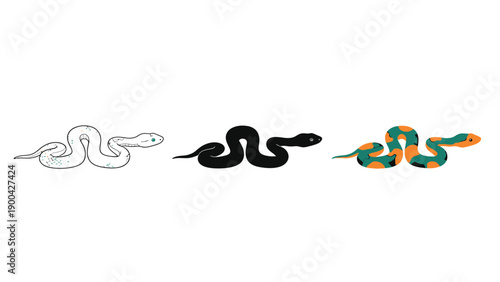 Vector illustration set displaying three distinct styles of a coiled snake design including outline silhouette and full color variations