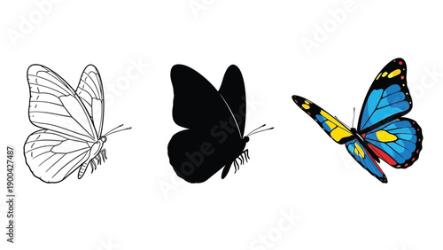 Collection of three distinct butterfly graphic representations showing outline silhouette and full color vector art on white