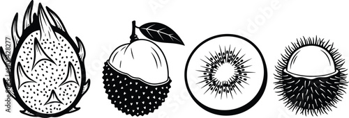 Tropical fruit illustration set featuring dragon fruit lychee kiwi and rambutan hand drawn black vector silhouettes isolated on white background
