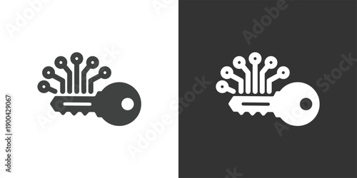 Digital Security Key icon. Solid glyph series icon