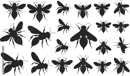 Bee silhouette set, flying insect collection, black vector illustration, honey bee shapes, pollination wildlife symbols, nature entomology isolated on white background