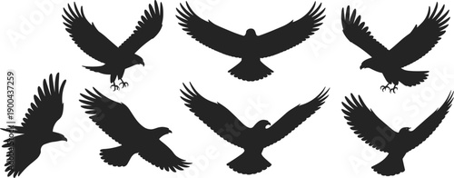Flying eagle silhouette set, black vector illustration, bird of prey in flight collection, wings spread, wildlife animal shapes isolated background