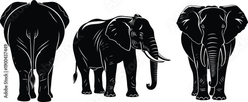Black African elephant silhouettes set isolated on white background featuring front view, side profile, and rear view for wildlife nature design and conservation concepts.