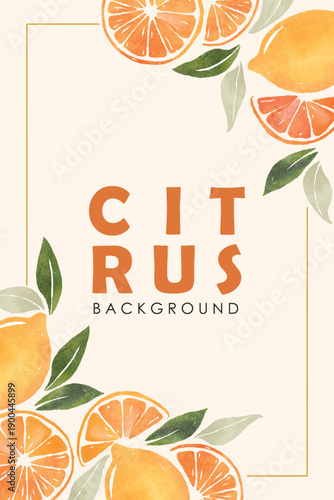 Set of colorful oranges, citrus, lime, tangerine summer fruit