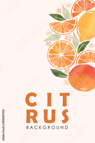 Set of colorful oranges, citrus, lime, tangerine summer fruit