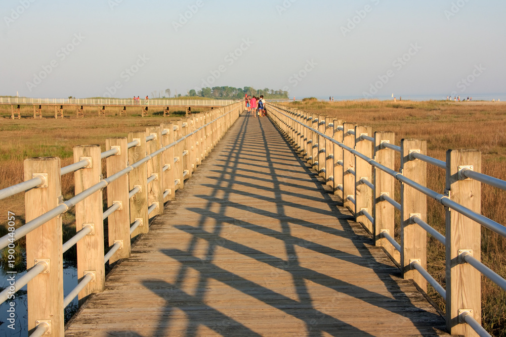 Fototapeta premium Path to the beach in the afternoon in Silver Sands State Park, Milford, Connecticut