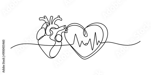 Continuous one line drawing of anatomical heart and heart shape with ekg pulse isolated on transparent background Vector, illustration