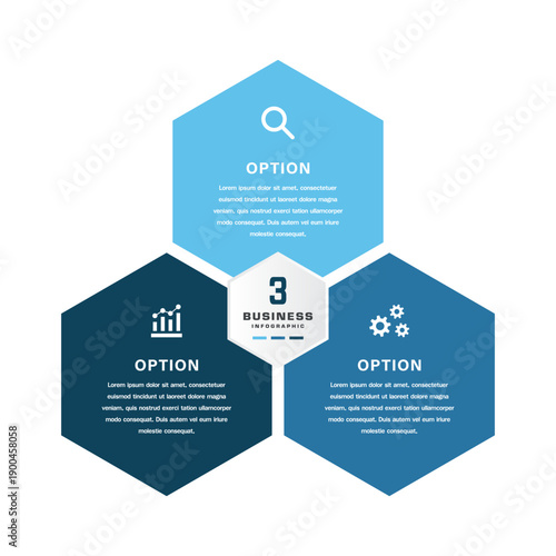 3 Business Infographic Hexagon Options