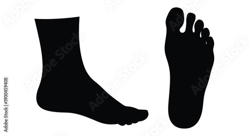 A black silhouette of a human foot and ankle silhouette