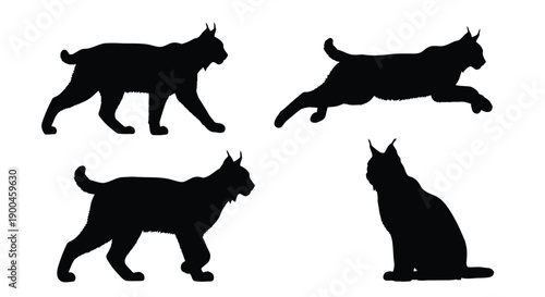 Four black silhouettes of bobcats in various poses a striking silhouette