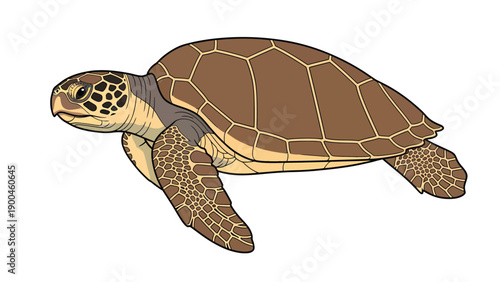 Stylized Sea Turtle Swimming Illustration - Marine Life Vector Art on White Background