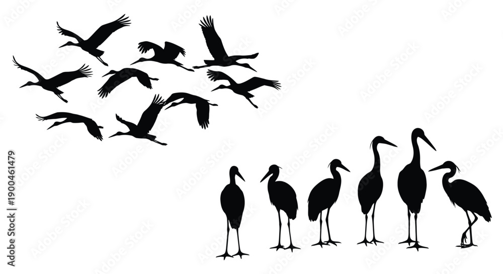Naklejka premium A flock of birds in flight and wading black silhouette