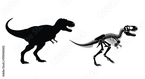 Tyrannosaurus rex comparison full body and skeletal structure silhouette