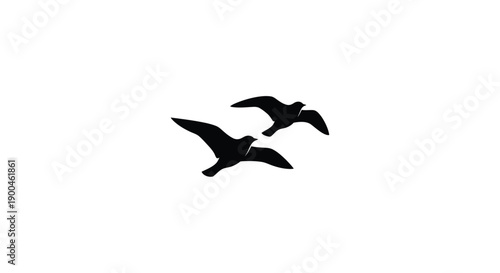Two birds in flight against a white background silhouette
