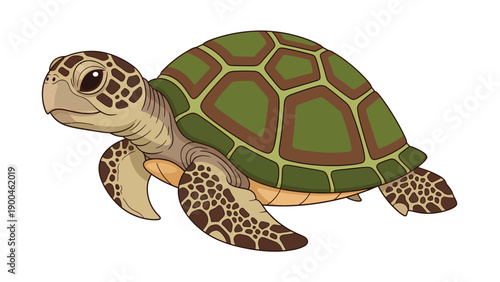 Cute Green Sea Turtle Cartoon Illustration Isolated on White