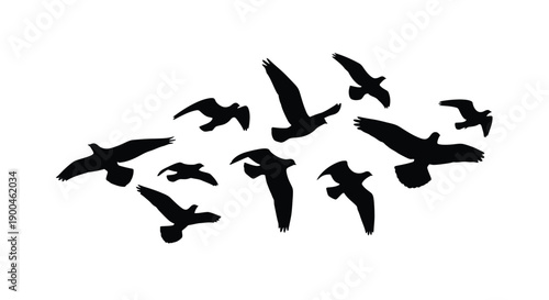 A flock of birds in flight rendered as a stark silhouette
