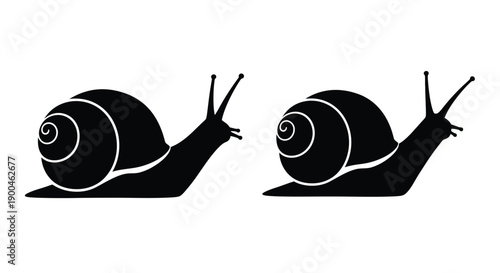 Two snails depicted in a stark black graphic silhouette