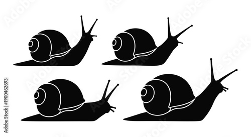 Four black snails crawling a striking graphic silhouette