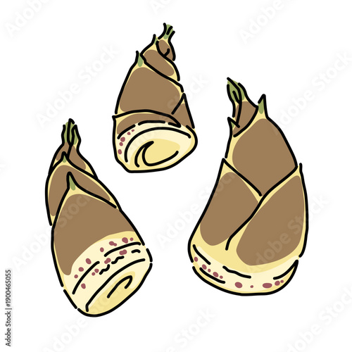 小さめサイズの新鮮なたけのこ　シンプルなイラストセット