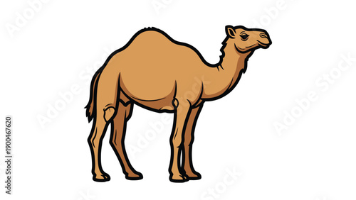 Simple Cartoon Dromedary Camel Illustration Standing on White Background