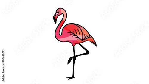 Vibrant pink flamingo illustration standing on one leg, tropical bird graphic design on white background
