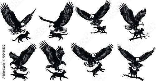 Set of bald eagle hunting silhouettes showing dramatic attack poses, flying predator birds capturing prey, detailed wildlife vector illustrations isolated on white background