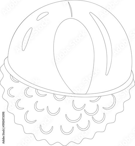 Outline drawing of a lychee with smooth skin and spiky base on a white background