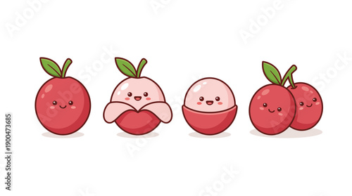 lychee cute cartoon vector set , isolate on a white background. SVG and PNG