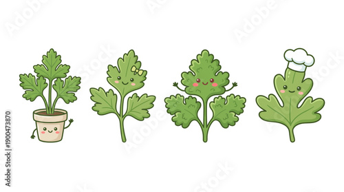 parsley cute cartoon vector set , isolate on a white background. SVG and PNG