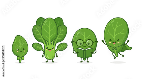 spinach cute cartoon vector set , isolate on a white background. SVG and PNG