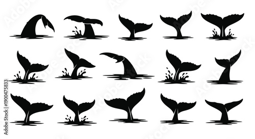 Variety of whale tail shapes and forms a striking silhouette