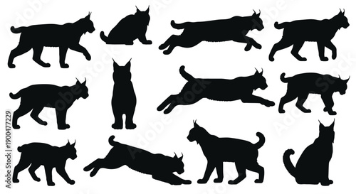 Multiple bobcat silhouettes in various dynamic poses a striking image silhouette