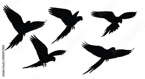 A flock of birds in flight depicted as a striking silhouette