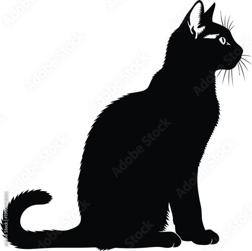 Black cat silhouette sitting upright