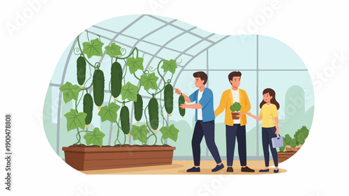 People tending to a lush cucumber greenhouse, harvesting produce and caring for plants
