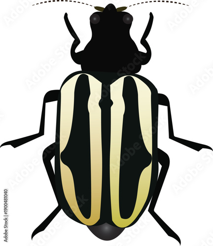 Detailed flea beetle vector isolated on a white background, suitable for pest control, entomology, and agriculture-related designs.