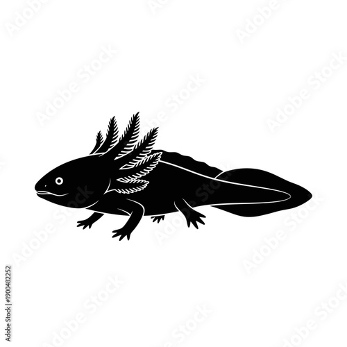 Axolotl Silhouette Icon Vector Illustration Mexican Salamander