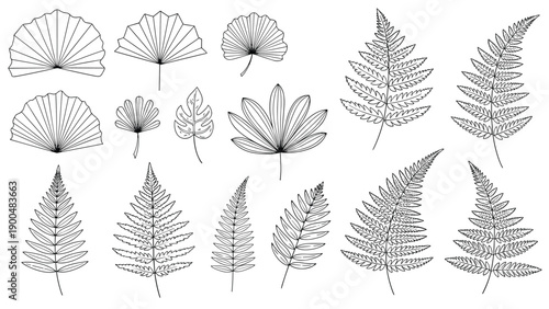 Comprehensive collection of diverse tropical leaves and elegant ferns, featuring intricate black outlines for botanical and exotic design themes.