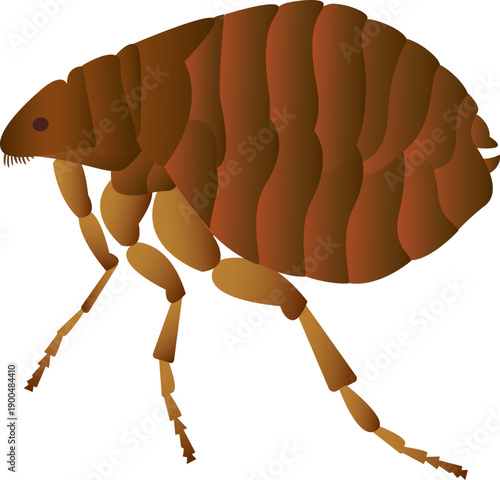 Cute cartoon flea character jumping, isolated on a white background.