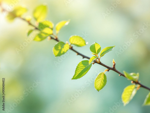 Vibrant green spring leaves unfurling on a tree branch, bathed in warm sunlight against a soft, blurred bokeh background, symbolizing growth, freshness, and new beginnings in nature.