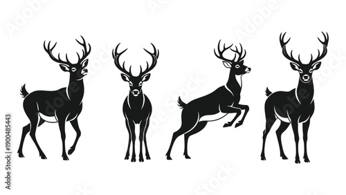Four black silhouettes of deer in various poses against a white background Vector