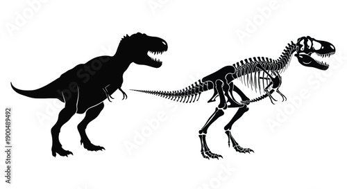 Tyrannosaurus rex depiction a living dinosaur and its skeletal form silhouette
