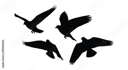 A flock of birds in flight captured as a striking silhouette