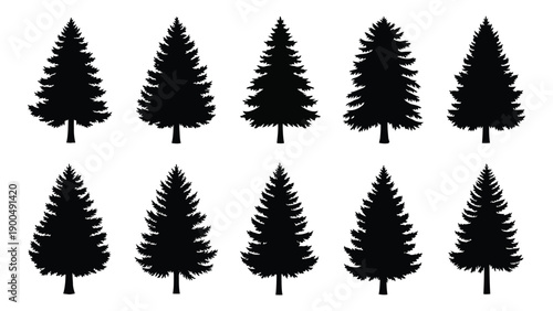 A group of ten black and white trees arranged in two rows of five Vector