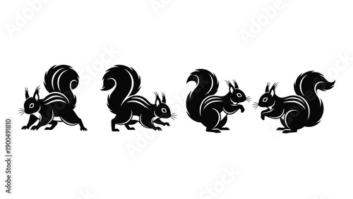 Four black silhouettes of squirrels in various poses on a white background Vector